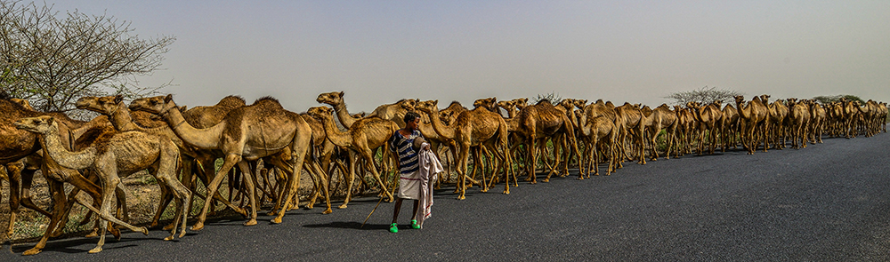 Strae Harar