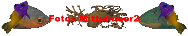 Fotos Mittelmeer2