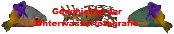 Geschichte der
Unterwasserfotografie