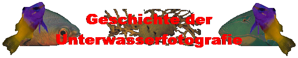 Geschichte der
Unterwasserfotografie