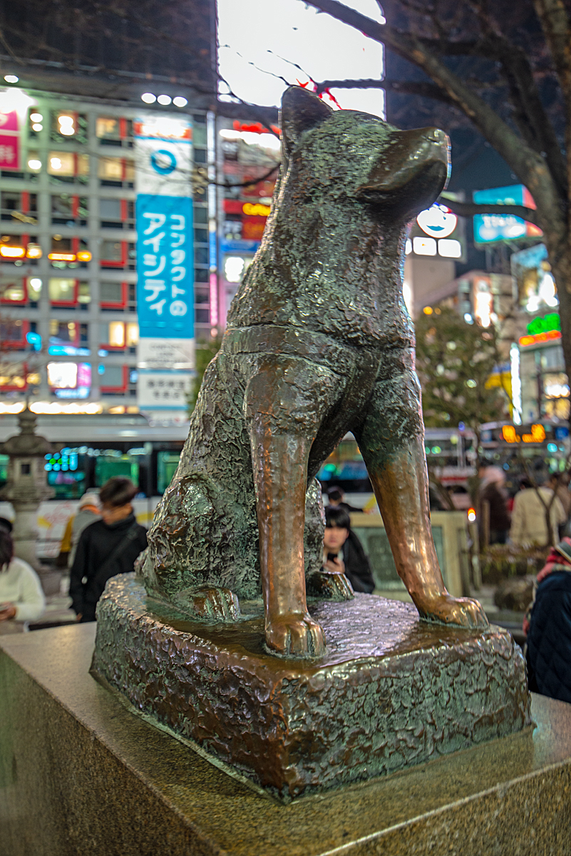 DSC_9097