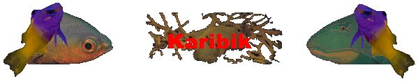 Karibik