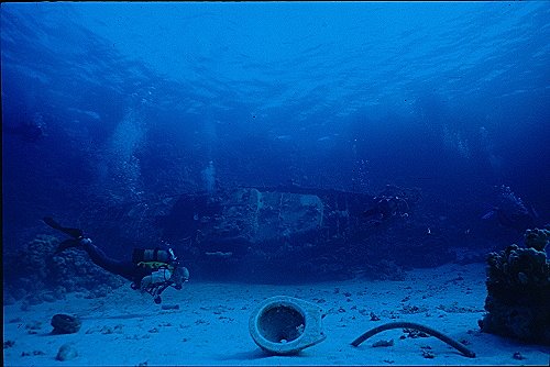 Wrack Elba 