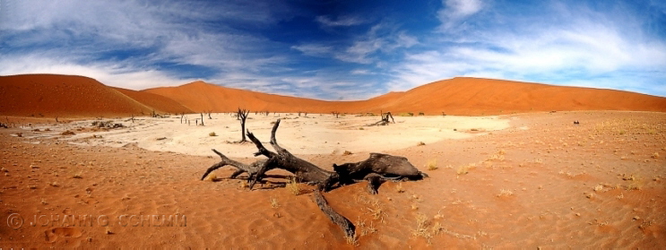 Dead Vlei Panorama 