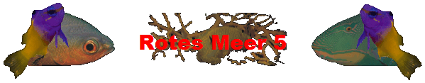 Rotes Meer 5
