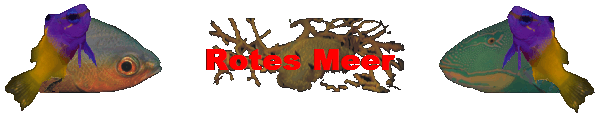 Rotes Meer