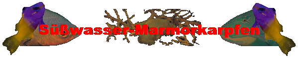 S��wasser-Marmorkarpfen