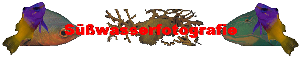 S��wasserfotografie