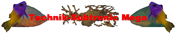 Technik-Subtronic Mega