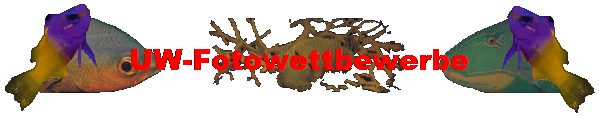 UW-Fotowettbewerbe