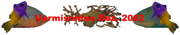 Vermischtes Dez. 2002