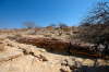 Petrified Forrest 