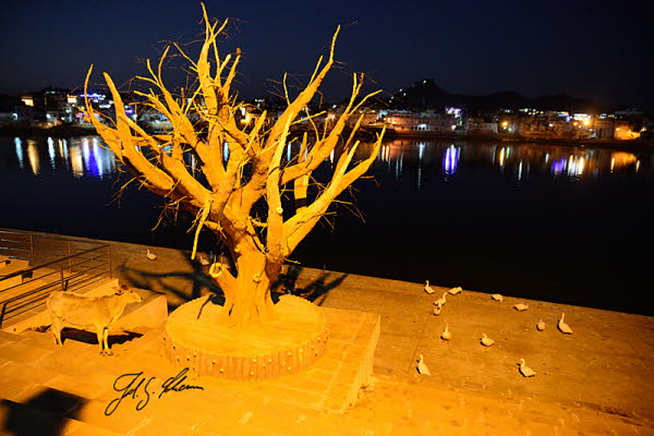 Pushkar See bei Nacht